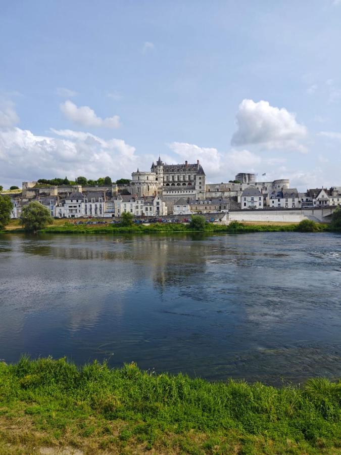 Villa Le Nid De L'Ile à Amboise Extérieur photo